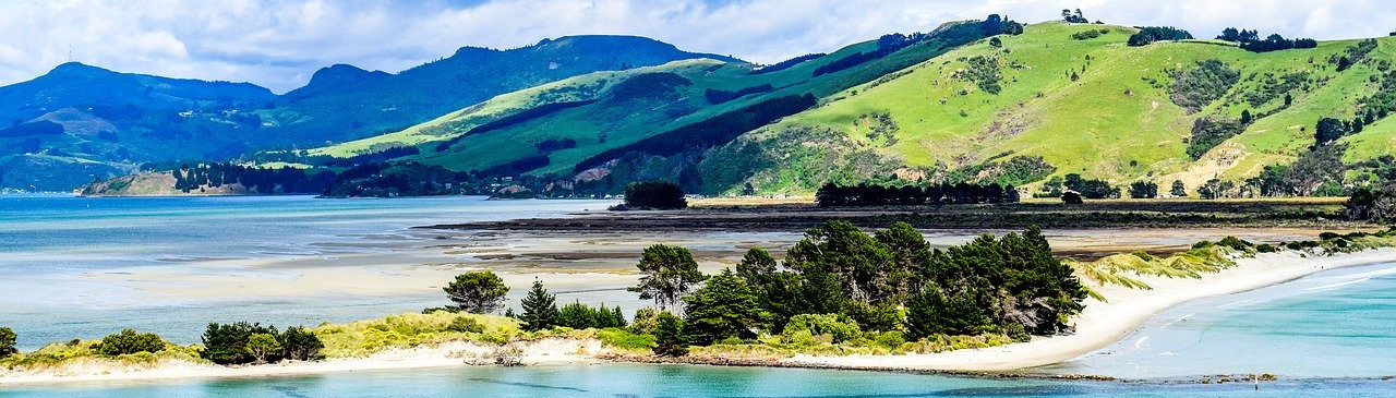 Blick auf Dunedin Beach